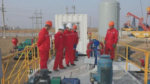 外媒聚焦中國(guó)油田“孤島廠側(cè)鉆”技術(shù) 管理升級(jí)盤(pán)活資產(chǎn)，資產(chǎn)管理邁向新高度